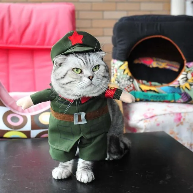 Army Costume